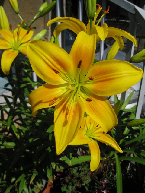 e0117318_16124264.jpg