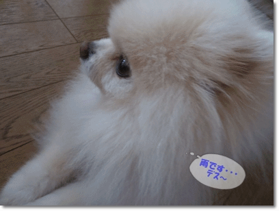 b0167519_14204839.gif