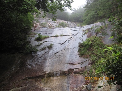 f0193521_16293953.jpg