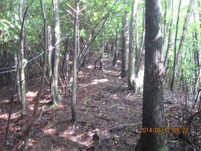 f0193521_17174750.jpg