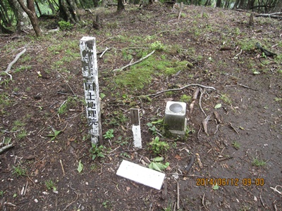 f0193521_1735035.jpg