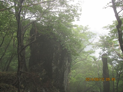 f0193521_1738529.jpg