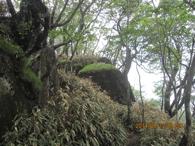 f0193521_1750339.jpg