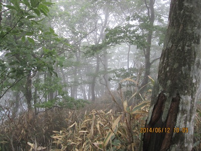 f0193521_17503893.jpg