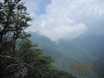 f0193521_17573237.jpg