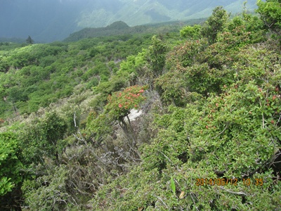 f0193521_18123927.jpg