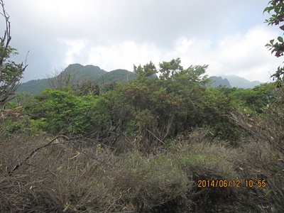 f0193521_19252699.jpg