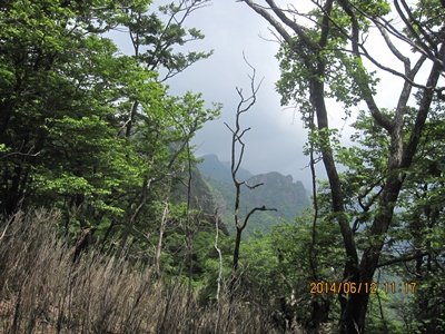 f0193521_19315311.jpg
