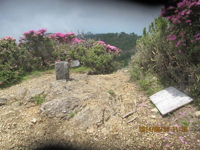 f0193521_1937529.jpg