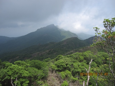 f0193521_19385415.jpg