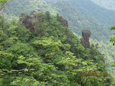 f0193521_1941988.jpg