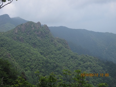 f0193521_1942678.jpg