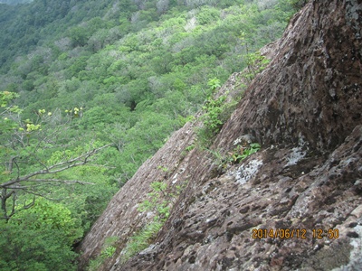 f0193521_1949121.jpg