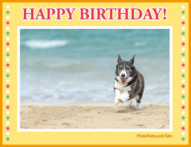 アベルくん、お誕生日おめでとう♪_d0102523_12104595.jpg