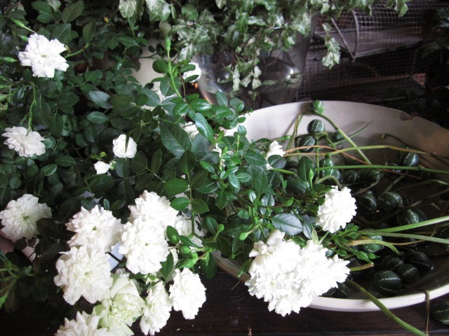 c0102228_23205487.jpg