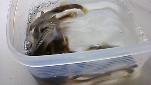 c0124528_1457873.png