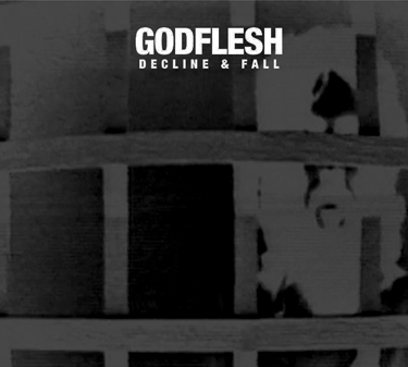 \"GODFLESH\"がドーーーン!!_f0004730_15254922.jpg