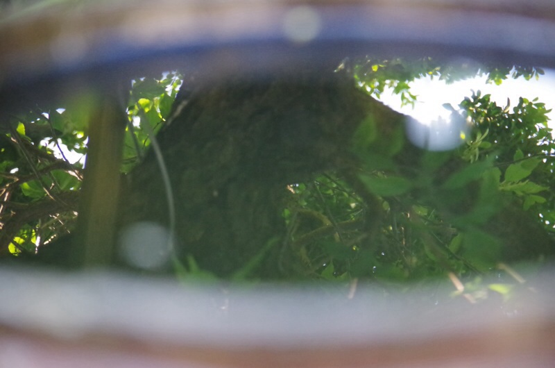 f0338831_06250652.jpg