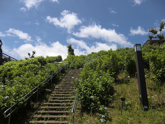 a0006033_13371656.jpg
