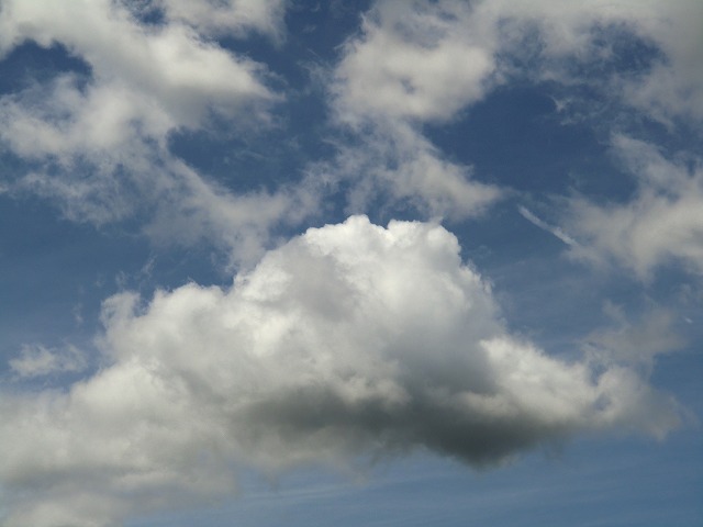 a0006033_13383517.jpg