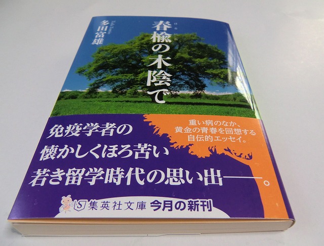 a0006033_13416100.jpg