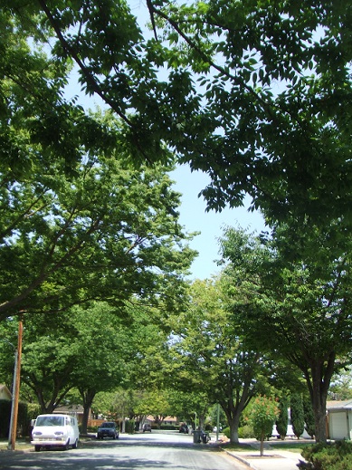b0198033_781567.jpg