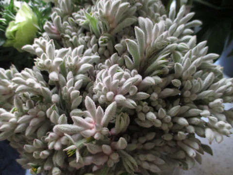 c0232541_85759.jpg