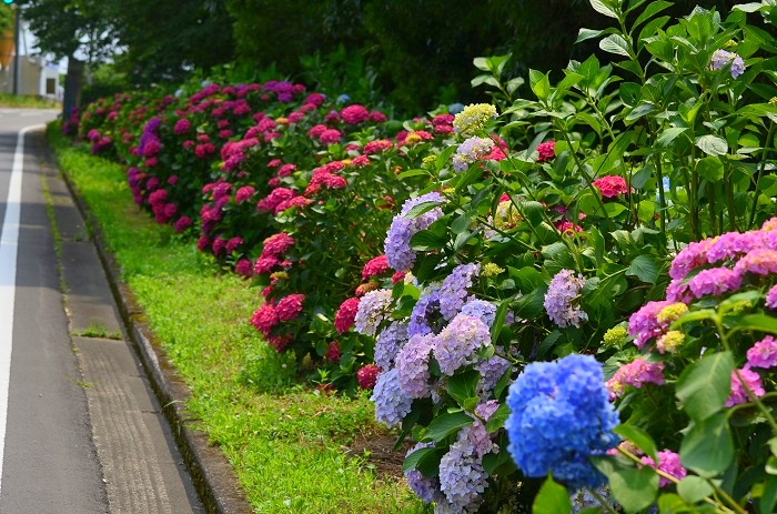 b0288942_845770.jpg
