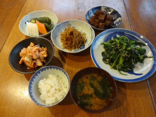 てんとう虫_c0133561_251260.jpg
