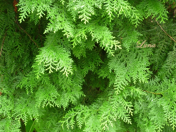 c0222861_2244080.jpg