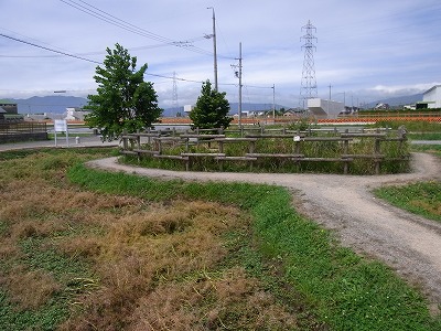 f0106664_6595298.jpg