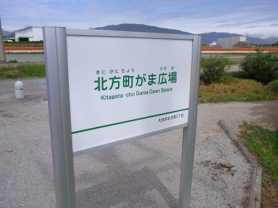 f0106664_721530.jpg