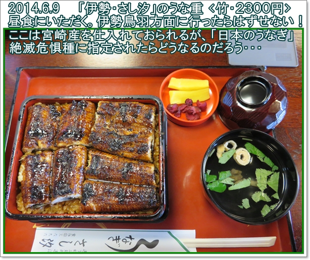 a0052666_2347165.jpg