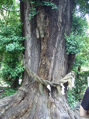 赤坂日枝神社ー山王まつりー_a0064067_22355809.jpg