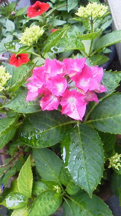 c0256667_18515730.jpg