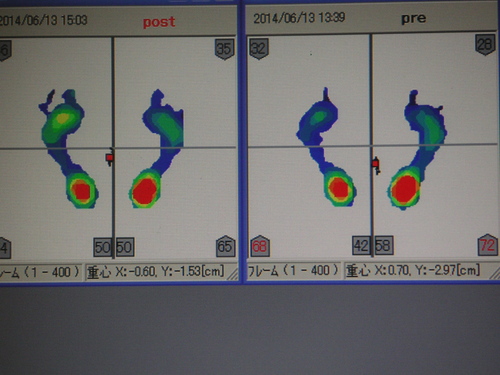 今日の最優秀賞（6/13)　～　間違えないし騙さない_d0184967_1882752.jpg