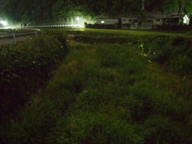 f0200373_2330324.jpg