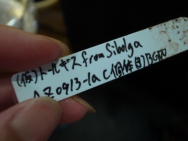 a0067578_1931015.jpg