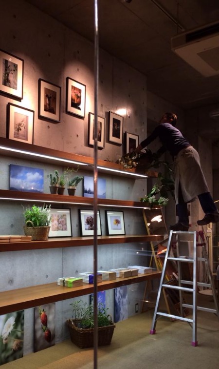 並木容子先生 花のあるくらし ハーブの息づく場所 展 海の古書店