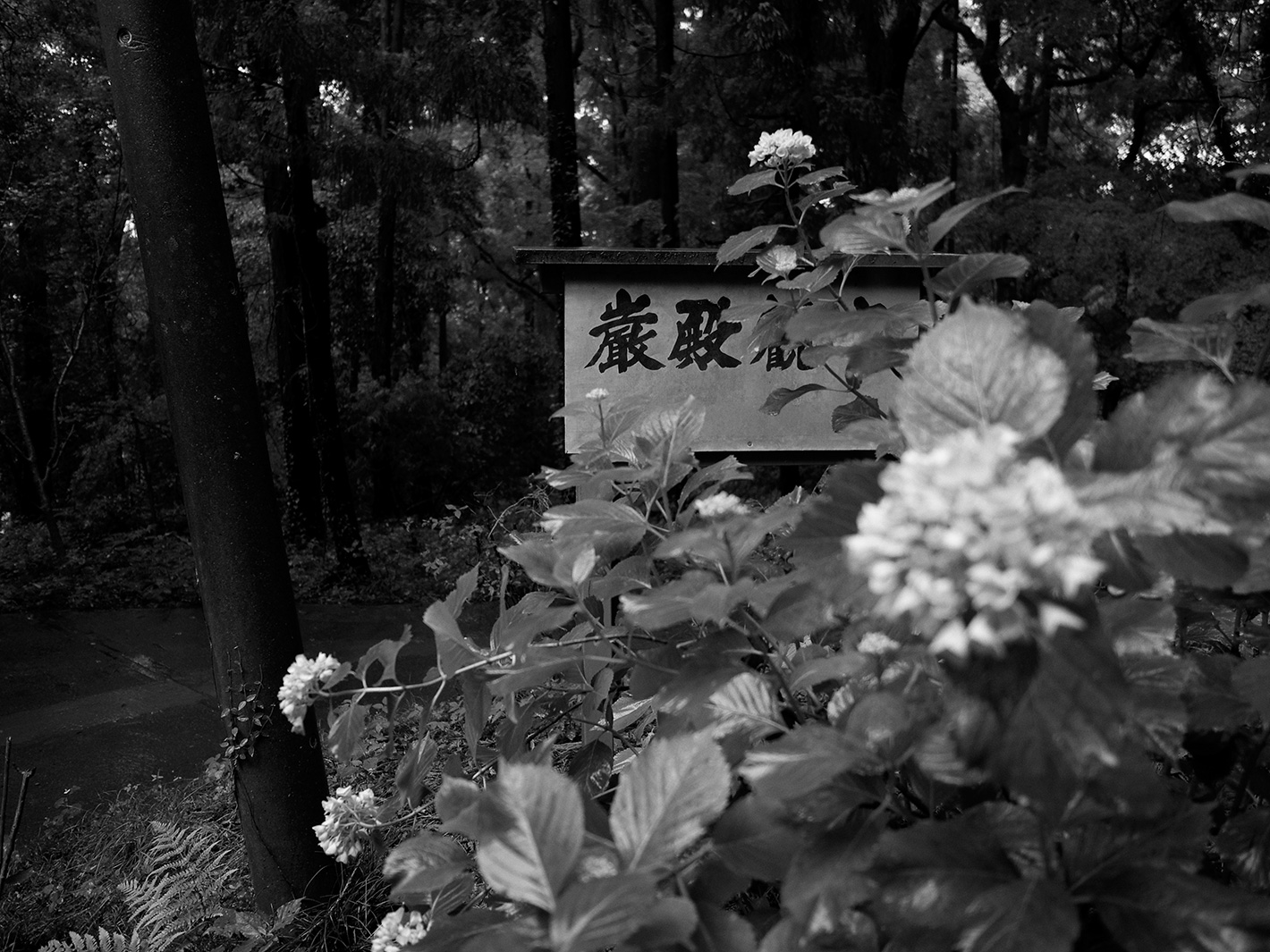 f0121181_154636.jpg