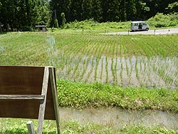 6月13日の田んぼ(月光原小・西根小)_d0247484_14342582.jpg