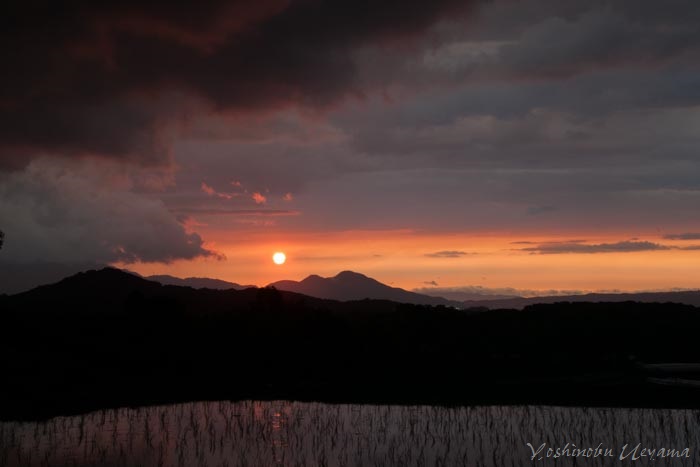 新聞、そして夕景_e0092186_043747.jpg