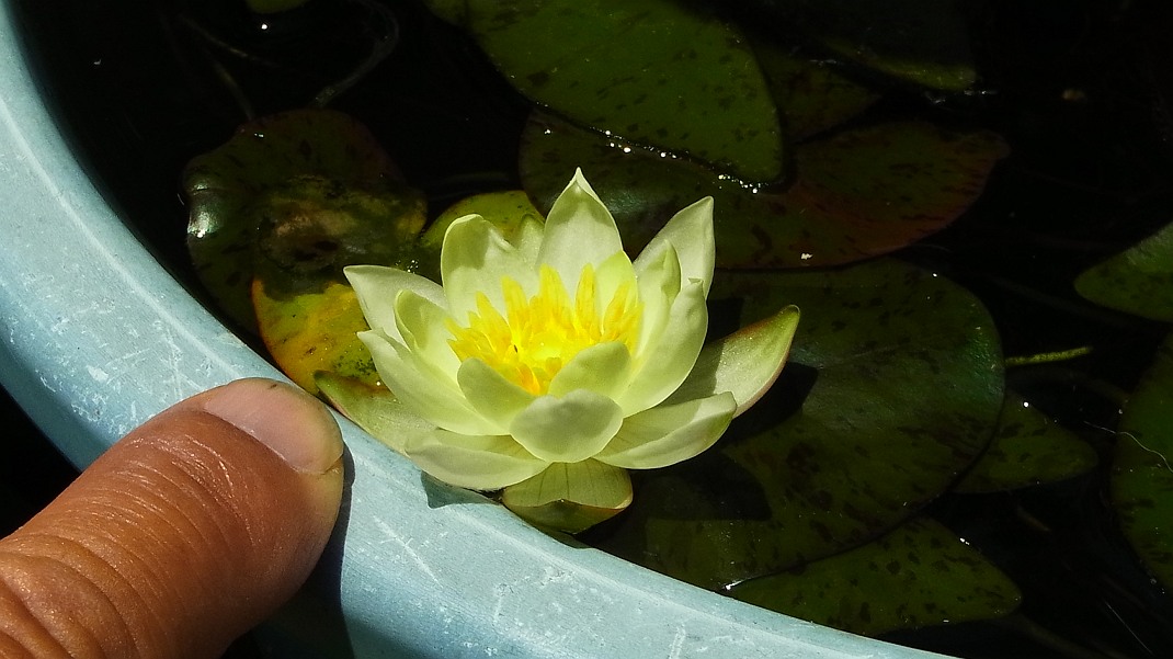 a0152692_1827182.jpg