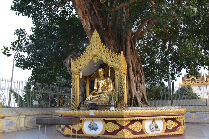 32. ヤンゴン　シュエダゴン・パゴダ-1　Shwedagon Pagoda in Yangon-1_f0268294_21593609.jpg