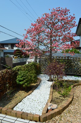 2014年6月 河内長野市 アプローチ植栽_a0233896_10465593.jpg