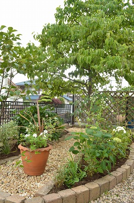 2014年6月 河内長野市 アプローチ植栽_a0233896_11141911.jpg