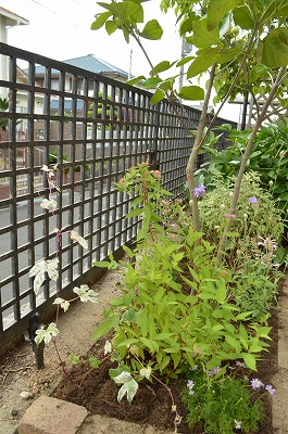 2014年6月 河内長野市 アプローチ植栽_a0233896_11295678.jpg