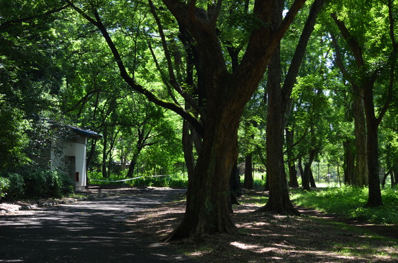 a0288500_13474551.jpg