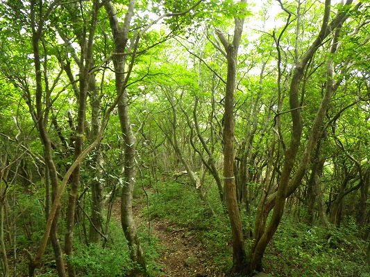 f0187402_20553839.jpg