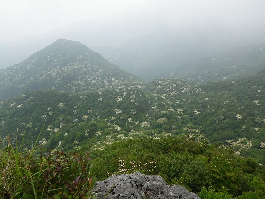 f0187402_2121429.jpg